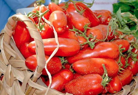 Tomate San Marzano
